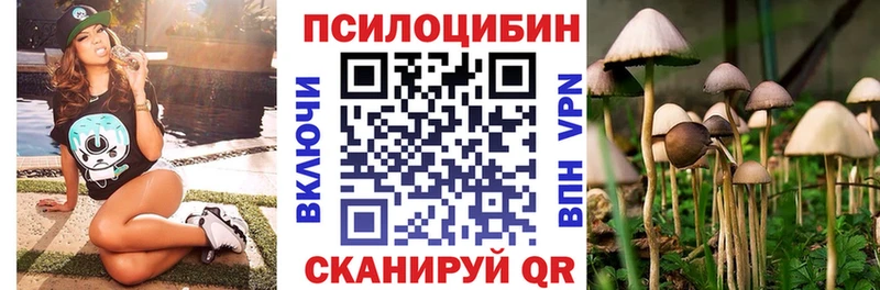 blacksprut tor  Юрга  Псилоцибиновые грибы Cubensis  продажа наркотиков 